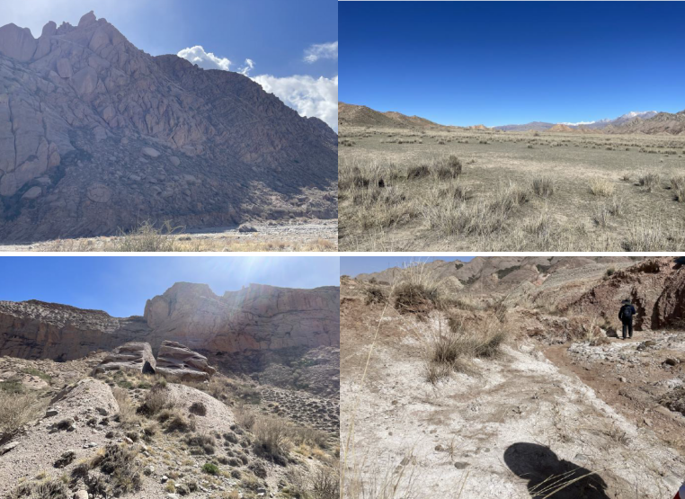 2026“开门红”——中交通力成功中标阿克苏公路项目